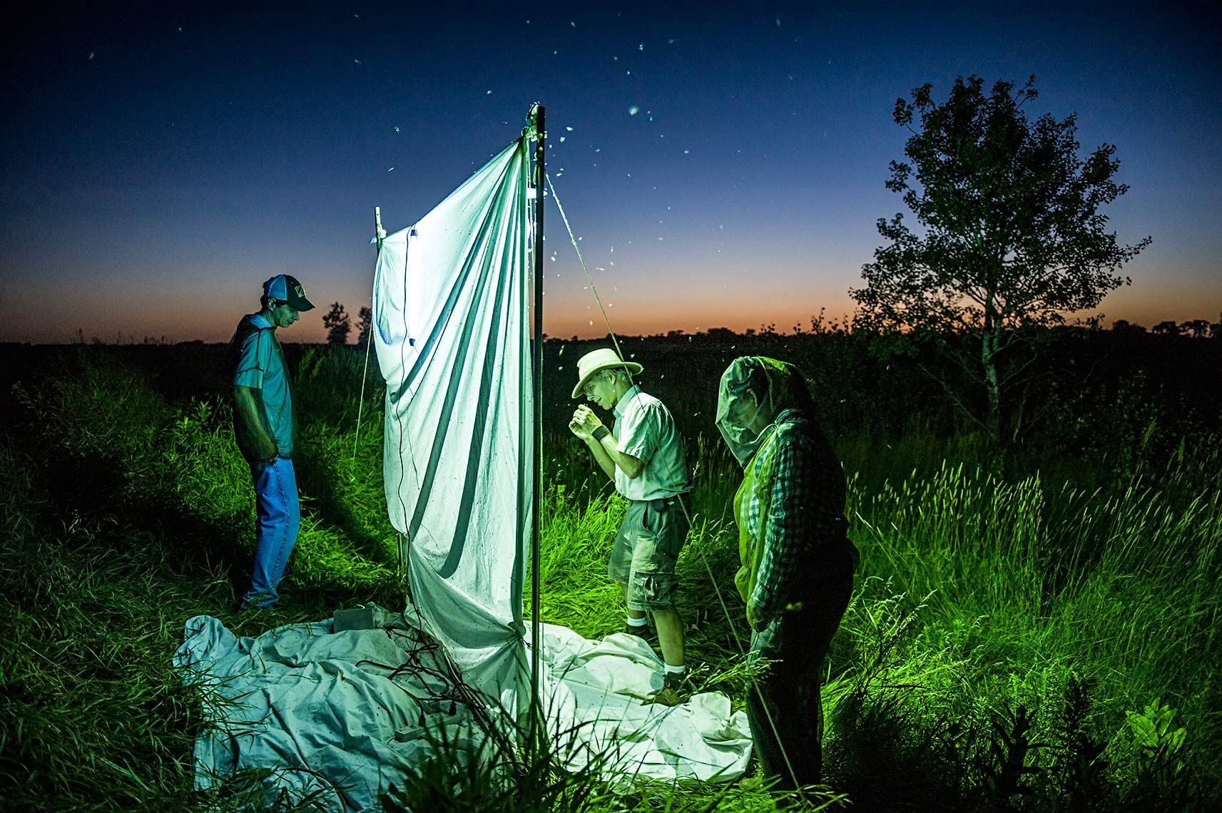 A photo of entomologists by Fargo, North Dakota editorial photographer Dan Koeck.