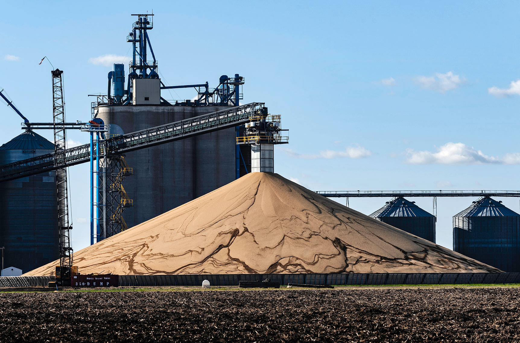 soybeans | Fargo photographer Dan Koeck | Editorial Photojournalism Commercial photography