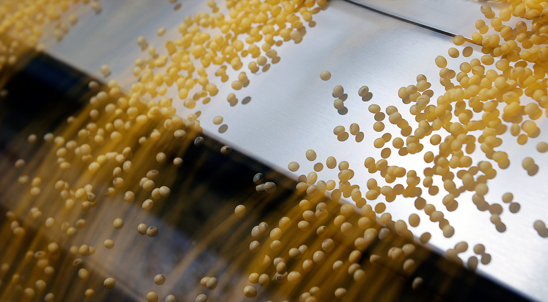 A photo of soybeans being processed by Fargo, North Dakota commercial photographer Dan Koeck