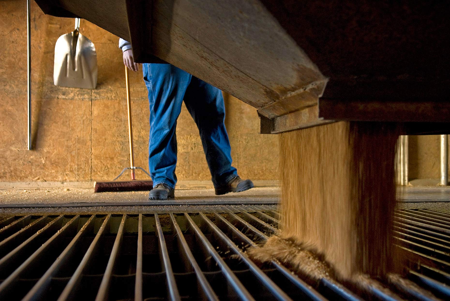 A photo of a farmer in a grain elevator by Fargo, North Dakota photojournalist Dan Koeck